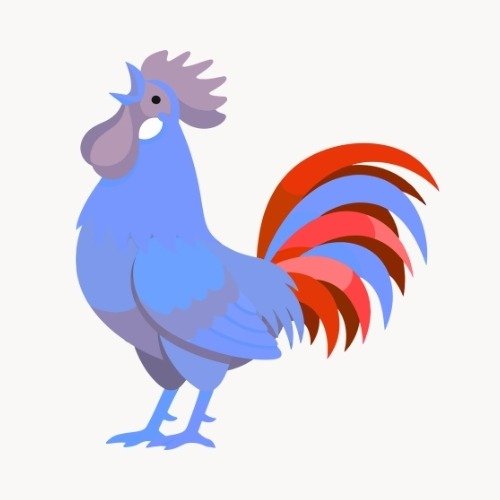 Coq français illustration